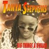 Download track Big Things A Gwaan