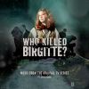 Download track Hvem Drepte Birgitte