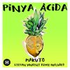 Download track Pinya Àcida (Original)