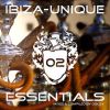 Download track Ibiza-Unique Essentials, Vol. 2 (Mixed By Dustin Duval) (Continuous DJ Mix)