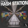 Download track Hash Station