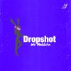 Download track Dropshot