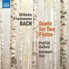 Download track 15. Duet For 2 Flutes In E-Flat Major, F. 56 II. Largo
