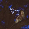 Download track Gray