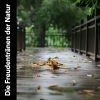 Download track Entspannende Klavierklänge Mit Regen