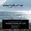 Download track Transitions Of Life (Mindsoundscapes Radio Cut)