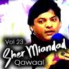 Download track Asan Tey Fareed Nal Dil