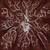 Download track Crown Shyness