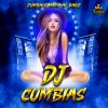 Download track Ni Tan Gorda Ni Tan Flaca