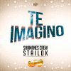 Download track Te Imagino (Stailok (Movimiento Original))