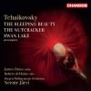 Download track The Sleeping Beauty, Op. 66, TH 13, Act III, No. 26, Pas De Caractrère: II. Cendrillon Et Le Prince Fortune