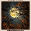 Download track The Evening Melancholy