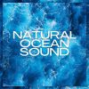 Download track Clear Sea Water