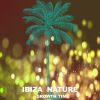 Download track Whistle (Ibiza Son Remix)