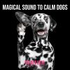 Download track Sound Frequency To Calm Dog