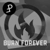 Download track Burn Forever (Blush Response Remix)