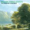 Download track 1. String Sextet No. 1 In B Flat Major Op. 18- Allegro Ma Non Troppo