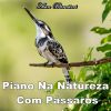 Download track Cura-Se Da Tristeza