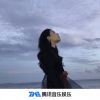 Download track 这么大的太阳你ye不ye（Remix）