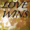 Download track Love Wins (Tribute To Carrie Underwood, Instrumental Version)