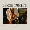 Download track Fond De Jazz Doux