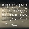 Download track Knocking On The Sky (James Monro Rmx)