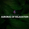 Download track Soothing Aurora