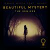 Download track Beautiful Mystery (David Thulin Extended Remix)