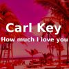 Download track How Much I Love You (Original Mix)