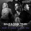 Download track What It Takes To Love You (Artisan Extended Remix)