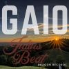 Download track Gaio