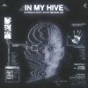 Download track In My Hive (Instrumental Mix)