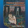 Download track Mystical Encounter