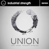 Download track Union (The Melodyst Rmx Hard Like Thunder)