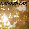 Download track Caterpillar / Tribute To Royce Da 5'9, Eminem And King Green