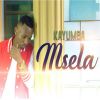 Download track Msela