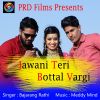 Download track Jawani Teri Bottal Vargi