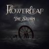 Download track The Storm (Instrumental Version)