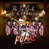 Download track El Águila Real