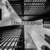 Download track Concrete Jungle