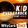 Download track Kid (Whylark RMX - Extended)