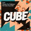 Download track Puesto Pal Problema (The Cube Guys Radio Edit)