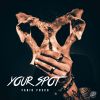 Download track Your Spot (Original Mix)