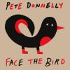 Download track Face The Bird