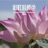 Download track 没有约束的世界