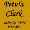 Download track Color My World