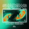 Download track Shadows (MC4D Remix)