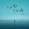 Download track 不羡风不羡雨 (伴奏)