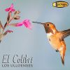 Download track El Colibri