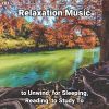 Download track Relaxation Music, Pt. 46